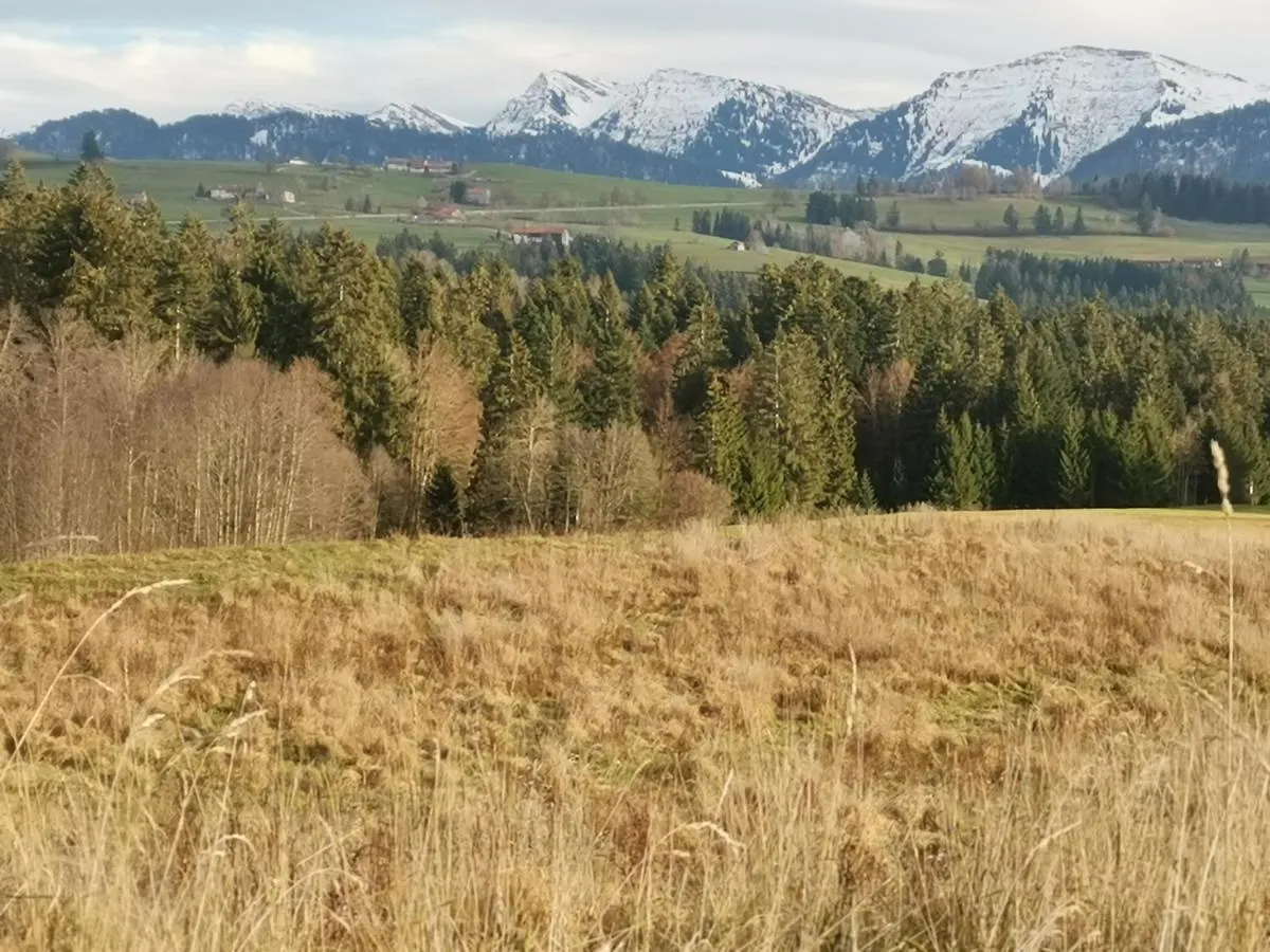 Ferienwohnung Im Landhausstil Oberreute 0*,